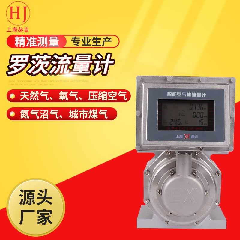 氣體腰輪流量計(jì)