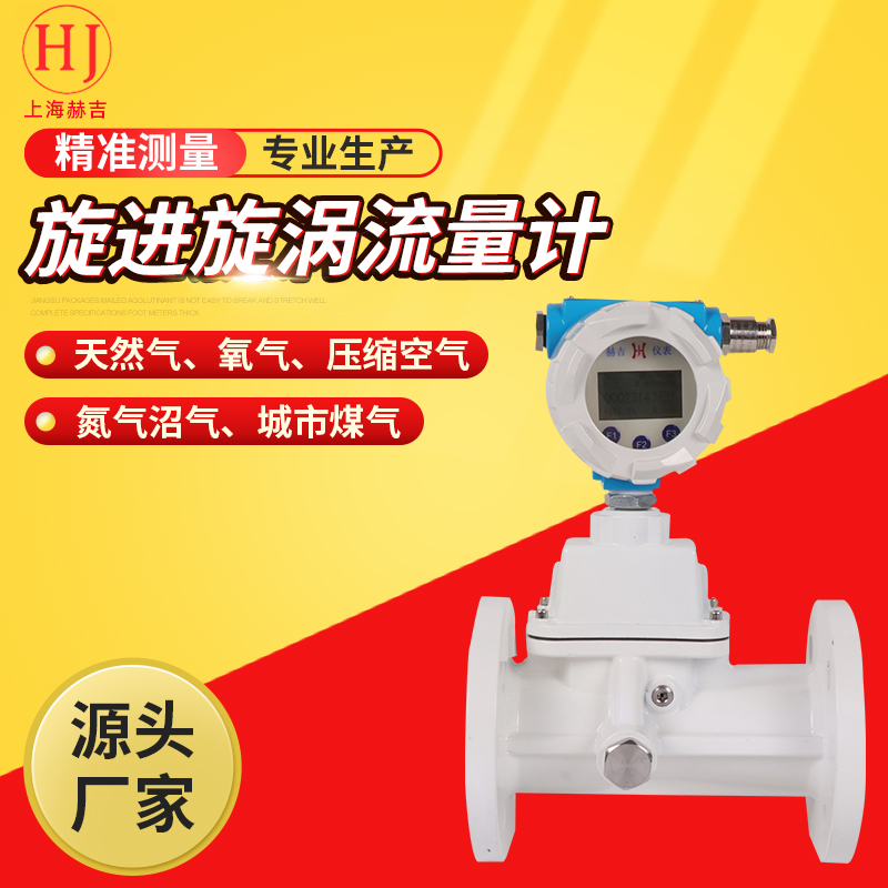 旋進(jìn)旋渦流量計(jì)